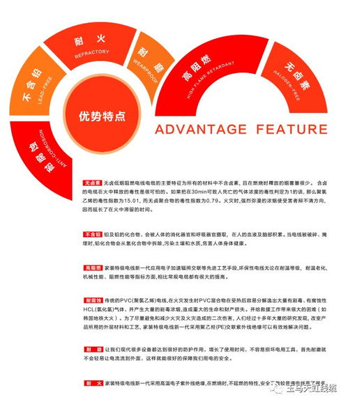 天虹线缆 助力传统村落焕新颜，守护黔溪村电气安全